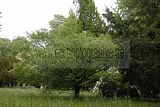tannenfeld-sommer 2012-064